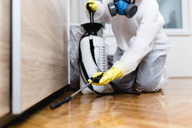 Best Local Pest Control Services  in Breckenridge, MN