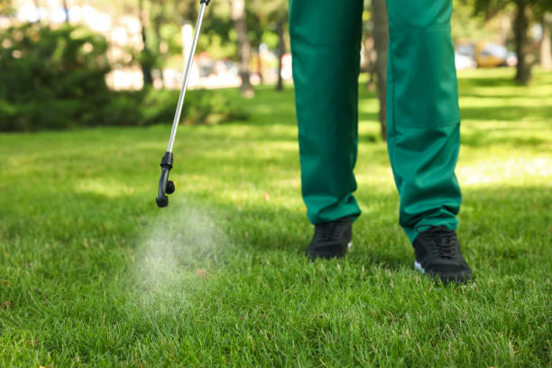 Best Residential Pest Control  in Breckenridge, MN