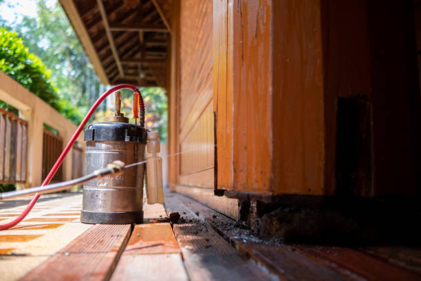 Best Rat Extermination Near Me  in Breckenridge, MN