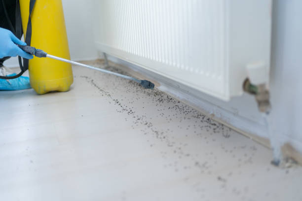 Best Exterminator Services  in Breckenridge, MN